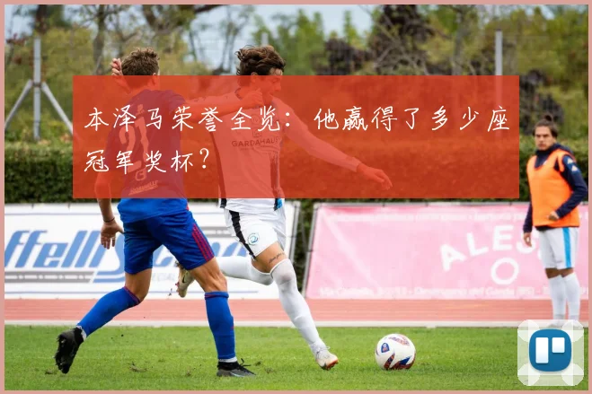 本泽马荣誉全览：他赢得了多少座冠军奖杯？